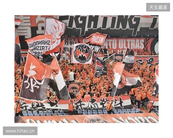 苗原谈泰山引援:账户里有200万水平购买力 但文旅决策尽量少花钱 苗原谈泰山引援:账户里有200万水平购买力 但文旅决策尽量少花钱