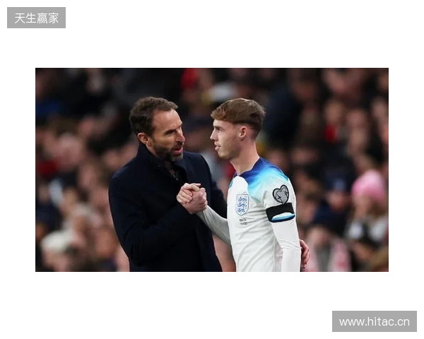 图赫尔谈10号位:一阶段考察帕尔默&福登;二阶段贝林&罗杰斯